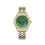 Roche Montre Rml5021-05 Rengi Metalik Gri Çelik Kadın Kol Saati - Altın