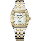 Roche Montre RML5023-01 Kadın Kol Saati - Altın - Metalik Gri