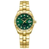 Roche Montre RML7003-04 Kadın Kol Saati