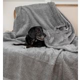 Rocky and Snowball RS - Köpek Battaniyesi - LGrey40x60