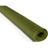 Roco Paper Co. İtalyan Krapon Kağıdı No:366 - Zeytin Yeşil - Green Olive 90 gr. 50X150 cm