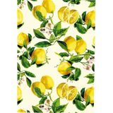 Roco Paper Co. Rulo Ambalaj Kağıdı NO:009C 70*500 cm - Renkli