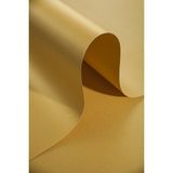 Roco Paper Sedef Altın 160 GR 50x70 CM Fon Kartonu