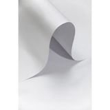 Roco Paper Sedef Beyaz 160 GR 50x70 CM Fon Kartonu