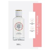 Roger Gallet Fleur De Figuier EDT 100 ML Kadın Parfüm