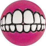 Rogz Toyz Grinz Ödül Hazneli Pembe 6.4 cm Medium Köpek Oyun Topu