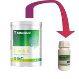Röhnfried Entrobac Bağırsak Güçlendirici Probiyotik Katkısı 50g
