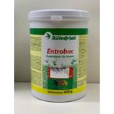 Röhnfried Entrobac Probiyotik Takviyesi 500Gr
