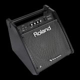 Roland PM-100 80 Watt Davul Monitörü