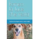 Romeo: la luce che resta: La forza di un legame eterno, senza tempo senza confini.