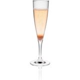 Rona Classic Cocktails Şampanya Kadehi - 160 ml - 6'lı Set | Avrupa Üretimi İthal - Saydam