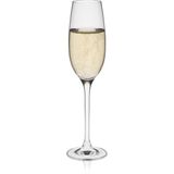 Rona Edition Şampanya Kadehi - 150 ml - 6'lı Set | Slovak İşçiliği, Avrupa Üretimi - Saydam