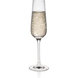 Rona Invitation Şampanya Kadehi - 180 ml - 6lı Set | Avrupa Üretimi İthal - Saydam