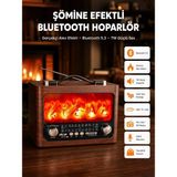 Ronanna Buğz Solar Şarjlı Şömine Işıklı Bluetooth Hoparlör – Radyo, Usb, Tf Kart Destekli