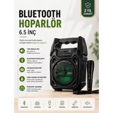 Ronanna Yeni Nesil 6.5 Inç Bluetooth Hoparlör Mikrofonlu Taşınabilir Ses Sistemi