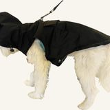 Rood Kapişonlu Köpek Yağmurluk Airtag Uyumlu