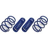 Rose Bmw F30 F32 F36 Helezon Yayı Set: 4AD Mavi -Sport- - B A31336851709