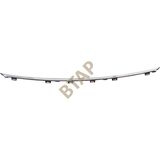 Rose Bmw F30LCI Luxury Tampon Çıtası Ön Orta 51117396833