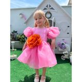 Rose- Pembe Şifon Kısa Kollu Kız Çocuk Elbisesi - 5 Yaş