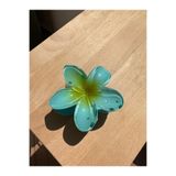 ROSEMARY 2'li Lotus Çiçekli Mandallı Toka