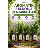 Rosemary Garden 4lü Aromatik Şifa Bahçesi Seti 2L Saksıda Lavanta Biberiye Kekik Akdeniz Defnesi Fidanı Set