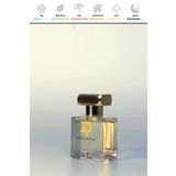 Rosentia Luxe Edition LX96 (Pour Homme Dylan Blue Erkek ) Muadili 50ml EDP Parfüm