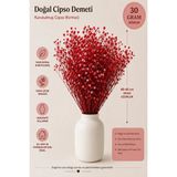 Rosess Şoklanmış Cipso Çiçeği Demeti | Kurutulmuş Cipso | Doğal Kuru Çiçek - Aranjman | Dekor | Süs - Kırmızı
