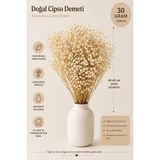 Rosess Şoklanmış Cipso Çiçeği Demeti | Kurutulmuş Cipso | Doğal Kuru Çiçek - Aranjman | Dekor | Süs - Krem