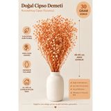 Rosess Şoklanmış Cipso Çiçeği Demeti | Kurutulmuş Cipso | Doğal Kuru Çiçek - Aranjman | Dekor | Süs - Turuncu