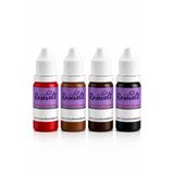 Rosevelt Kalıcı Makyaj Eğitim Boyası 4 Lü Set ( Ciltte Kullanılmaz )