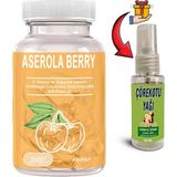 Rota Style Yoğun Aserola Berry Ekstratlı Probiyotikdetox 30LU Soft Jel Kapsüller + Çörek Otu Masaj Yağı - 1li