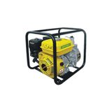 Rother RTR020 Benzinli Su Pompası
