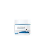 Round Lab Birch Juice Moisturizing Cream Huş Ağacı Özlü Canlandırıcı Yoğun Nemlendirici Krem 80 ml