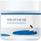 Round Lab Birch Juice Moisturizing Cream Nemlendirici Komedon Karşıtı Huş Özlü Yüz Kremi 80 ml - Şeffaf - Standart