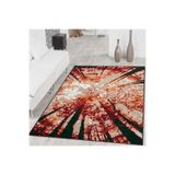 Rovigo Dijital Baskı Yıkanabilir Kaymaz Taban Salon Halısı RVG1402, Kırmızı, 50 x 80