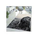 Rovigo Dijital Baskı Yıkanabilir Kaymaz Taban Salon Halısı RVG1444, Gri, 120 x 180