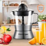 Rowenger D-8028A Inox Elektrikli Narenciye Sıkacağı Meyve Sıkacağı Portakal Sıkacağı