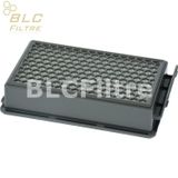 Rowenta RO 3755 TA Compact Power Cyclonic Süpürge Hepa Filtresi