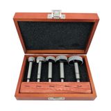 Rox Wood 5 Parça Tas Menteşe Freze Uç Seti