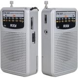 Roxy Rxy-bariton Cep Tipi Mini Pilli Analog Radyo - Gri