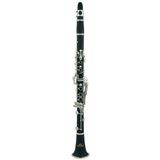 Roy Benson CB-317 Klarnet