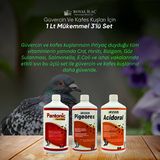 Royal Acidoral Pigeorex Pantonic 3'lü 1 lt Tamamlayıcı Yem Seti