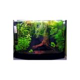 Royal Akvaryum Eve Bitki Kumu Siyah 5 Kg
