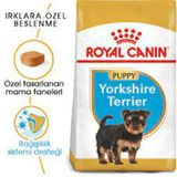 Royal Canin 1.5 kg Yorkshire Terrier Junior Köpek Maması
