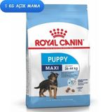 Royal Canin 1 kg Tavuklu Yetişkin Açık Yaş Köpek Maması