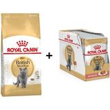 Royal Canin 10 kg British Shorthair Yetişkin Kedi Maması + 12x85 gr Royal Canin British Shorthair Yaş Kedi Maması