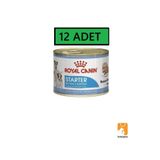 Royal Canin 12x195 gr Starter Yavru Gebe Emziren Köpek Konservesi