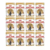Royal Canin 12x85 gr British Shorthair Kedi Maması
