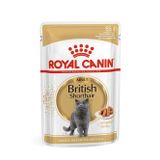 Royal Canin 12x85 gr British Shorthair Yetişkin Kedi Yaş Maması