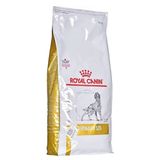 Royal Canin 13 kg Urinary S-O Köpek Maması